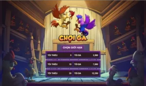 Đá Gà 3D Tại GemBet