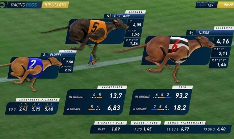 Hướng Dẫn Cách Chơi Game Nhanh Đua Chó Tại GemBet Thắng Đậm 2 Cách chơi game nhanh Đua Chó Tại GemBet